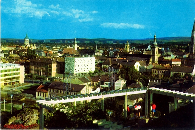 1315-1 - Cluj. Vedere de pe Cetățuie
